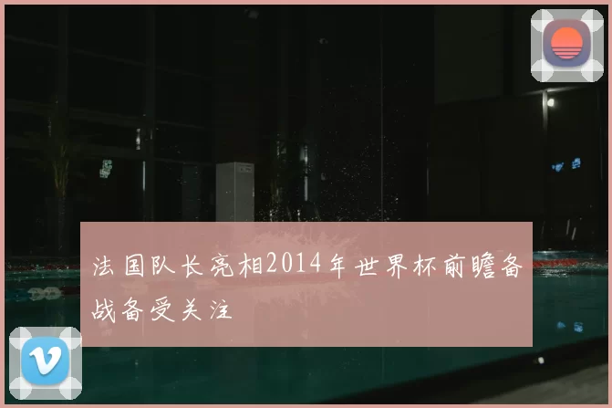 法国队长亮相2014年世界杯前瞻备战备受关注