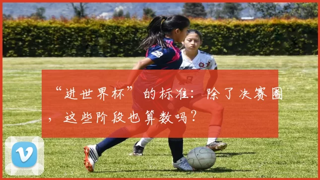 “进世界杯”的标准：除了决赛圈，这些阶段也算数吗？