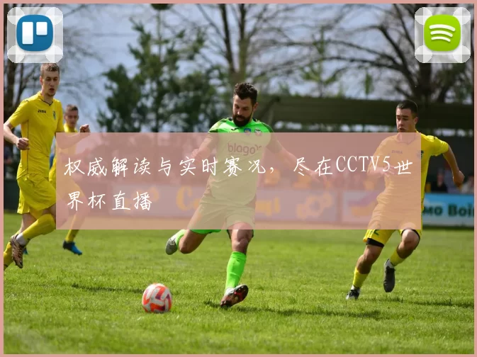 权威解读与实时赛况,尽在CCTV5世界杯直播