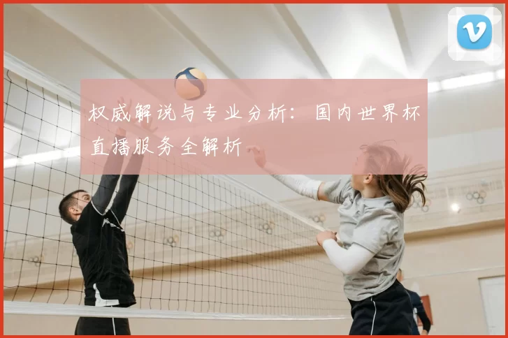 权威解说与专业分析:国内世界杯直播服务全解析
