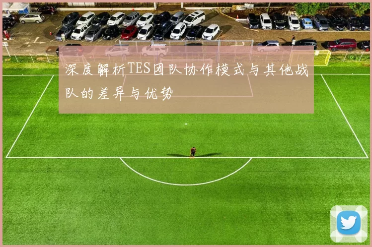深度解析TES团队协作模式与其他战队的差异与优势