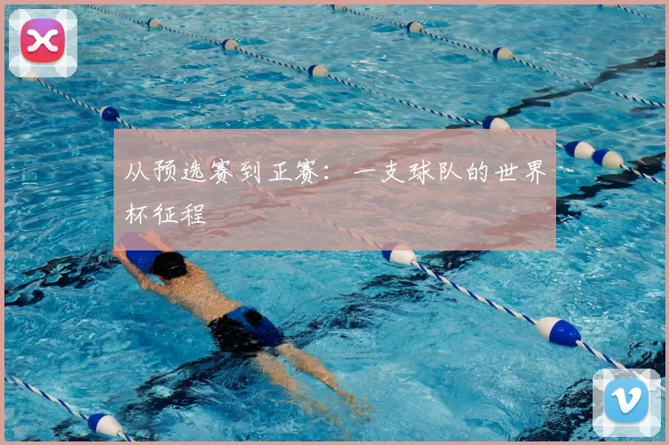 从预选赛到正赛：一支球队的世界杯征程