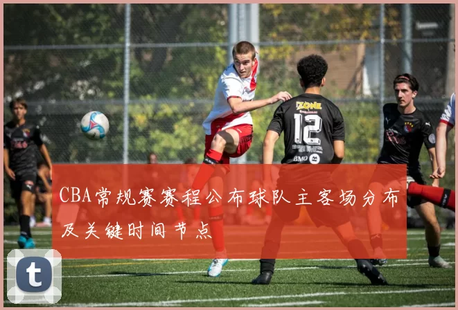CBA常规赛赛程公布球队主客场分布及关键时间节点