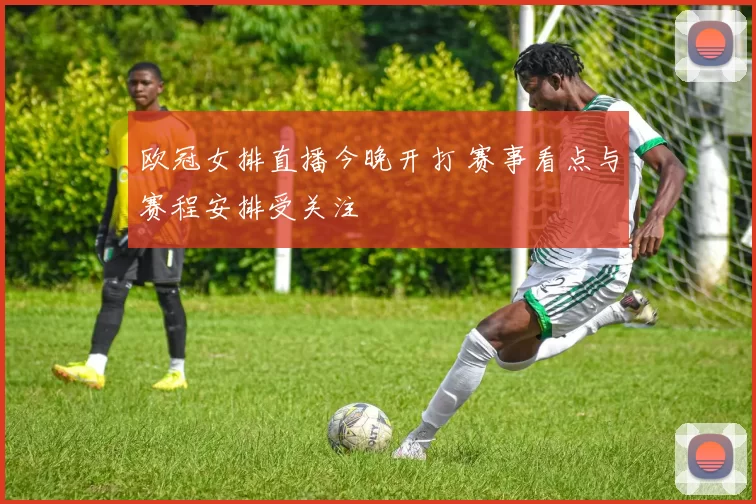 欧冠女排直播今晚开打 赛事看点与赛程安排受关注