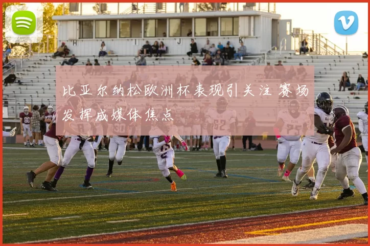 比亚尔纳松欧洲杯表现引关注 赛场发挥成媒体焦点