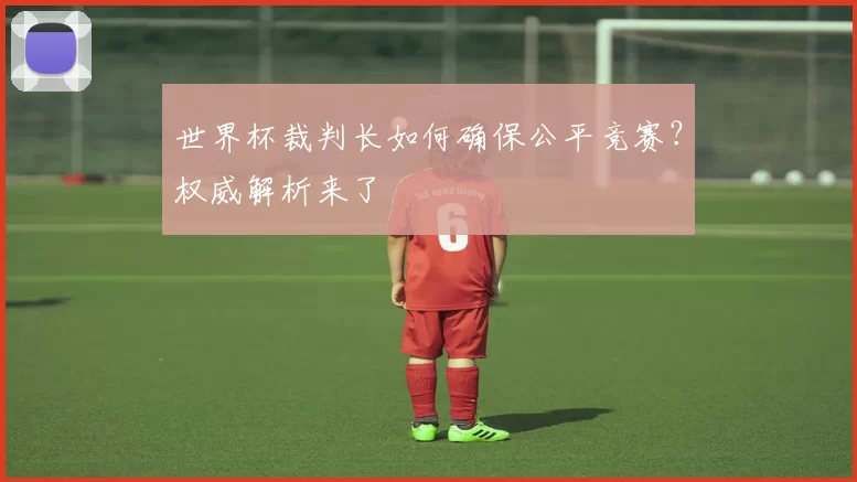 世界杯裁判长如何确保公平竞赛?权威解析来了