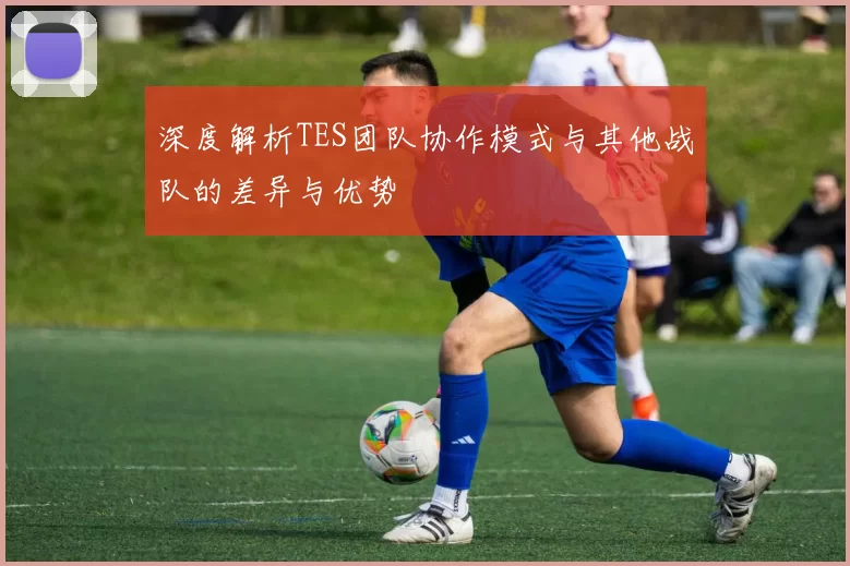 深度解析TES团队协作模式与其他战队的差异与优势