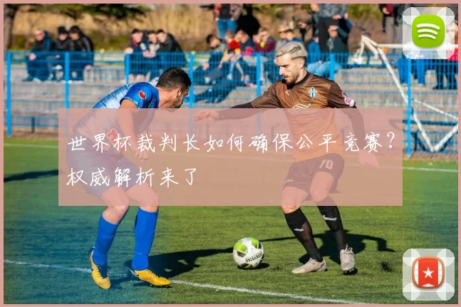 世界杯裁判长如何确保公平竞赛?权威解析来了